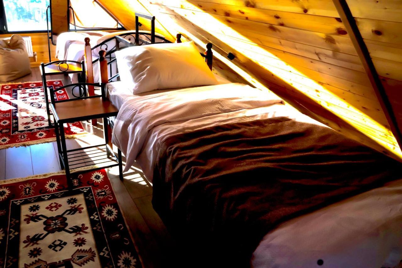 Cottage Mtachy Kazbegi Bagian luar foto